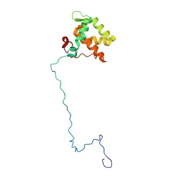 Monoklonaler Anti-EHD1-Antikörper für WB, IHC-P, ELISA – Q9H4M9