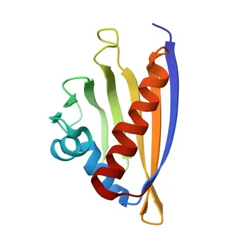Anticorpo monoclonale anti-AHA1 per WB, ELISA - O95433
