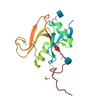 Anticorpo monoclonal de coelho anti-LYVE1 para WB, ELISA - Q9Y5Y7