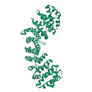 Anticorpo monoclonale anti-Phospholipid Scramblase 1 (PLSCR1) per WB, IHC-P, IF/ICC, ELISA - O15162