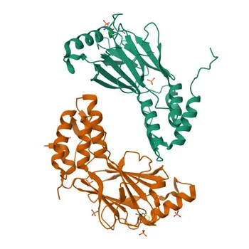 Anticorpo Monoclonal de Coelho Anti-Fosfo-IRF3 (Ser386) para WB, ELISA - Q14653