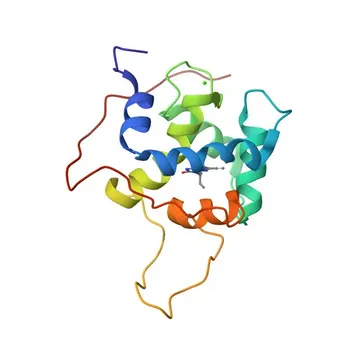 Anticorpo monoclonale di coniglio Anti-Troponina I2 (TNNI2) per WB, IF-P, ELISA - P48788