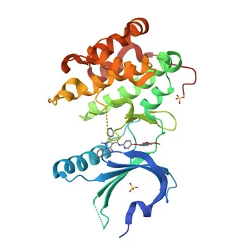 Anticuerpo monoclonal Anti-PERK de conejo para WB y ELISA - Q9NZJ5