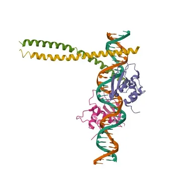 Phospho-ATF2-T71 Rabbit pAb per WB, IHC-P, ELISA - P15336