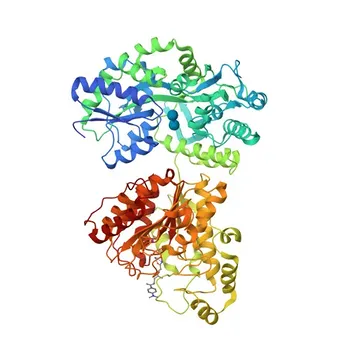 Anticorpo Monoclonal Anti-HDAC6 para WB, IHC-P, IP, ELISA - Q9UBN7