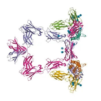 Anticuerpo monoclonal anti-CD130/gp130 de ratón para citometría de flujo - Q00560