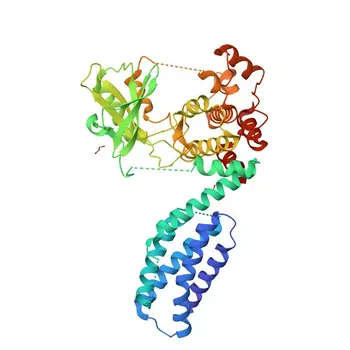Phospho-MLKL-S441 Kaninchen pAb für WB und ELISA - Q9D2Y4