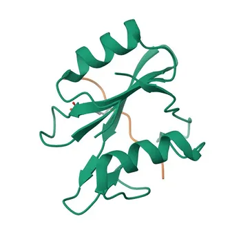 Anticuerpo Monoclonal de Conejo anti-Ratón CD140b/PDGFR beta para FC - P05622