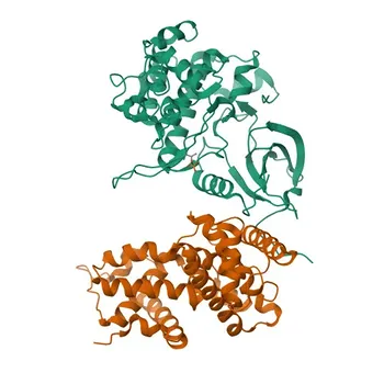 Кроличье поликлональное антитело Anti-Phospho-CDK9 (T186) для ВБ, ИФА - P50750