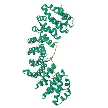 Anticorpo Policlonado de Coelho Phospho-RELB-S573 para WB e ELISA - Q01201