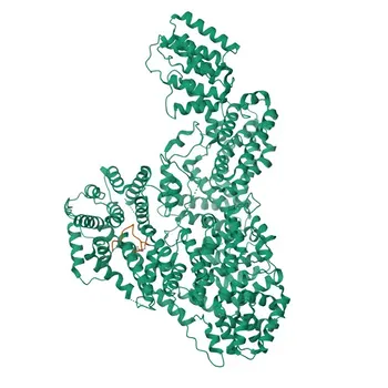 Anticorpo Policlonar de Coelho Anti-Fosfo-ELK1-S383 para WB, IHC-P, ELISA - P19419