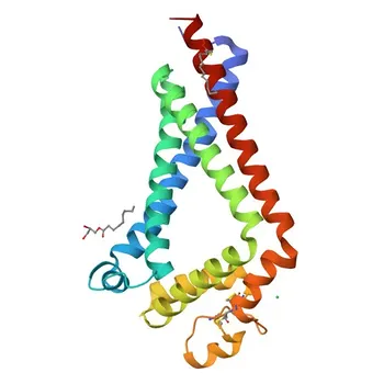 Anticuerpo monoclonal de conejo anti-CD9 humano conjugado con PE para citometría de flujo - P21926