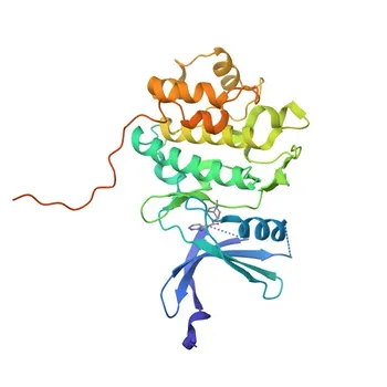 Anticorpo Monoclonal Coelho Anti-Chk1 para WB, IHC-P, ELISA - O14757