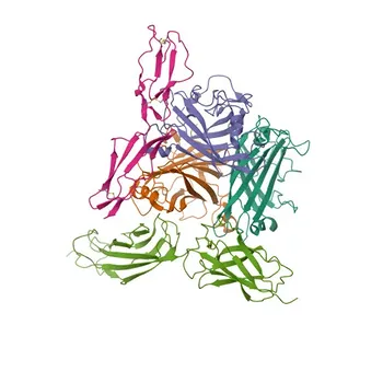 Anticorpo Monoclonal de Coelho Anti-CD46 Humano para Citometria de Fluxo - P15529