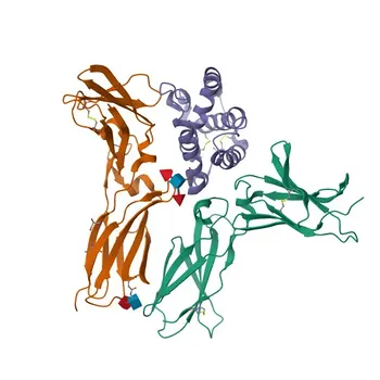 Anticuerpo Monoclonal de Conejo anti-IL22 de Ratón para Citometría de Flujo Intracelular - Q9JJY9