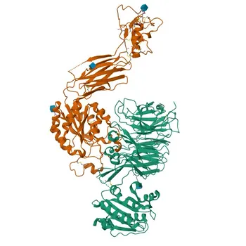Anticorpo monoclonal de Coelho PE anti-CD11a Humano para FC - P20701
