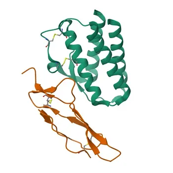 Anticorpo monoclonal de coelho anti-IL-15RA para IF/ICC, FC, ELISA - Q60819