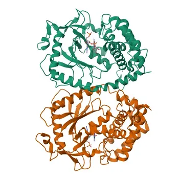 Anticorpo Policlonal de Coelho Phospho-CGAS (S420) para WB e ELISA - Q8C6L5