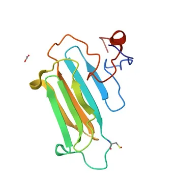 Anticorpo Monoclonal de Coelho Anti-NUDC para WB e ELISA - Q9Y266