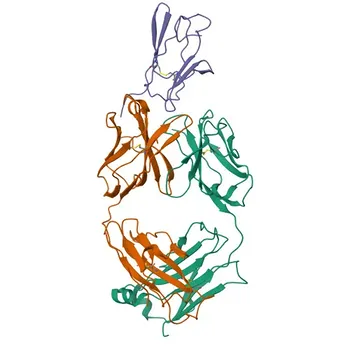 Anticorpo monoclonale PE/Cyanine7 contro CD3e di topo per citometria a flusso - P22646