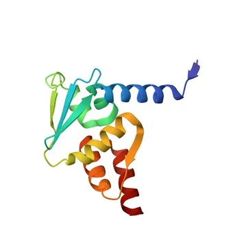Anticorpo monoclonal de Coelho PE-CF594 anti-Humano BCL6 mAb - P41182