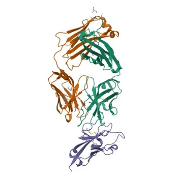 Anticuerpo monoclonal de conejo anti-TIM-3/HAVCR2 humano para citometría de flujo - Q8TDQ0