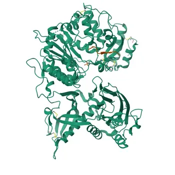 Anticorpo Monoclonal de Coelho Anti-CD138/Sindecana-1 para WB - P18827