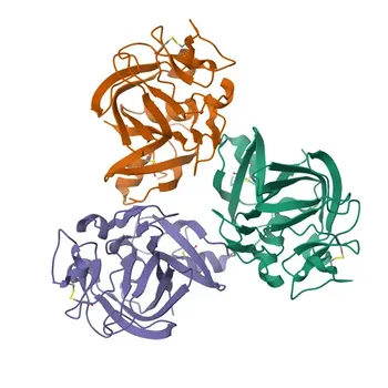 Anticuerpo Monoclonal de Conejo Anti-ANGPTL3 para WB, IF-P, IHC-P, ELISA - Q9Y5C1