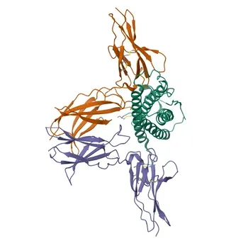 Anti-PRL/Prolactina Anticorpo Monoclonal de Coelho para IHC-P, ELISA - P01236
