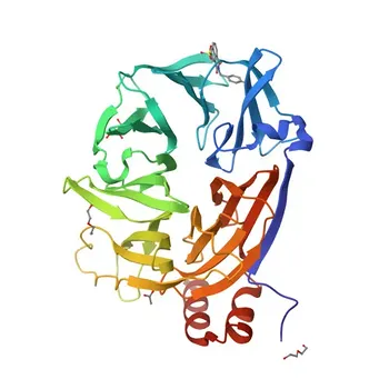 Anti-Clathrin Heavy Chain Monoclonal Antibody for WB, IP, IF/ICC, IHC-P, ELISA - Q00610