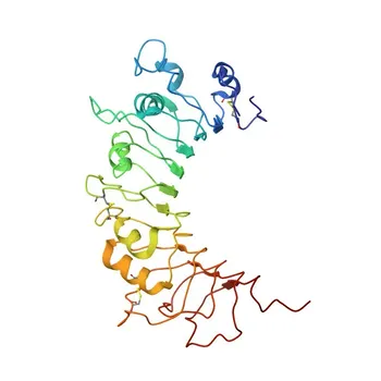 Anticorpo Monoclonal Coelhos Anti-Humano/Macaco CD14 Conjugado a para Citometria de Fluxo - P08571