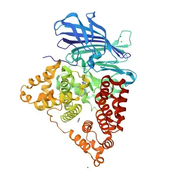 Anticorpo monoclonale Anti-LTA4H per WB - P09960