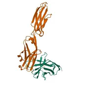 Anticuerpo Monoclonal Anti-PD-L2/CD273/B7-DC de Ratón () para Citometría de Flujo - Q9WUL5