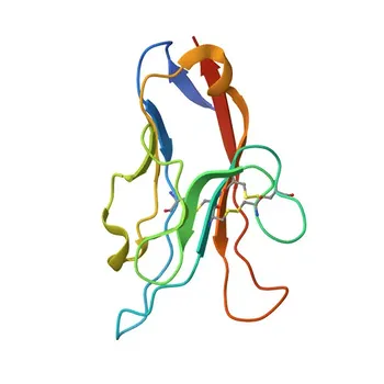 Anticuerpo monoclonal de conejo anti-CD366 (TIM-3) de ratón conjugado con APC para citometría de flujo - Q8VIM0