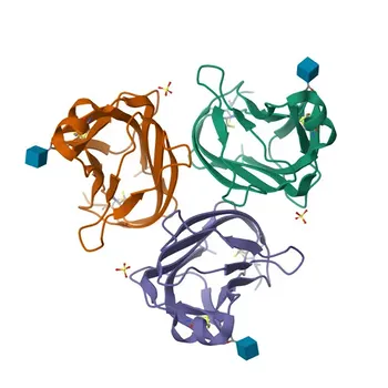 Anticuerpo monoclonal conejo anti-CD252 de ratón (ligando de OX40) para IF/ICC, FC - P43488