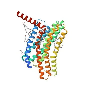 Anti-CCR9 Anticorpo Monoclonal de Coelho para WB, ELISA - P51686