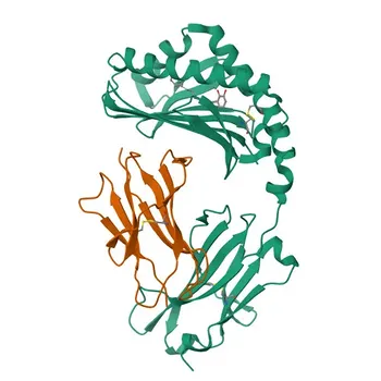 Mouse Anti-Human CD1a Monoclonal Antibody for Flow Cytometry - P06126