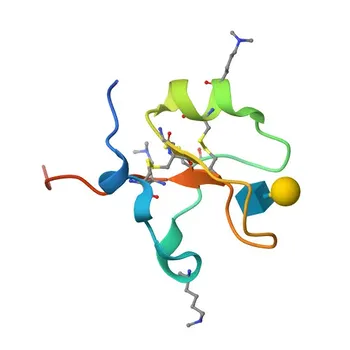 Anticuerpo monoclonal anti-TFF3 para IHC-P, ELISA - Q07654