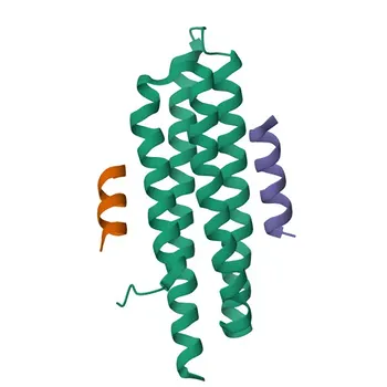 Anticorpo Policloal de Coelho Phospho-Paxilina (Y118) para WB e ELISA - P49023