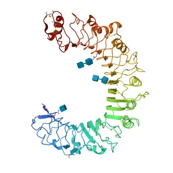Anticorpo Monoclonal Coelho anti-Humano TLR1 para FC - Q15399