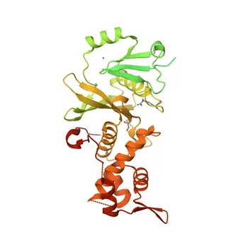 Anticorpo monoclonale anti-KAT8/MYST1/MOF per IF/ICC, IHC-P, ELISA - Q9H7Z6