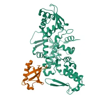 Anti-NEDD4 Monoclonal Antibody for WB, ELISA - P46934