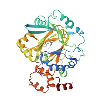 Anticuerpo Monoclonal de Conejo Anti-KDM4B/JMJD2B para WB, IF/ICC, IP, ELISA, ChIP - O94953
