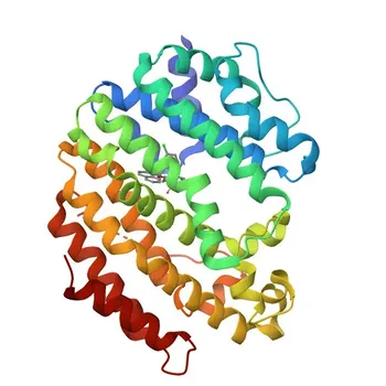 Anticuerpo Monoclonal de Conejo Anti-SQS/FDFT1 para WB, ELISA - P37268