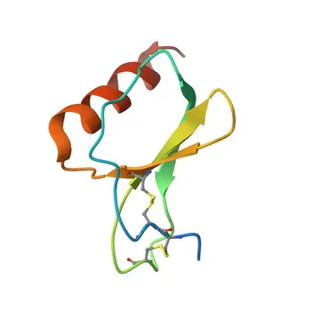 Anticuerpo monoclonal anti-CCL17 para WB, IHC-P, ELISA - Q92583