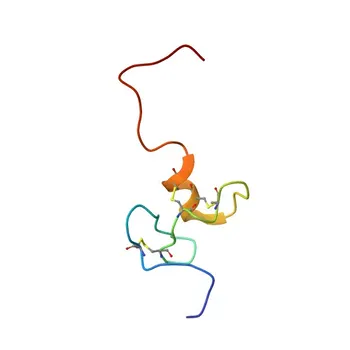 Anti-TWEAKR/Fn14/CD266 Rabbit Monoclonal Antibody for WB, ELISA - Q9NP84