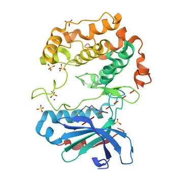 Anticorpo policlonal de coelho Anti-Fosfo-p70 S6 Kinase 1-S371 para WB e ELISA - P23443