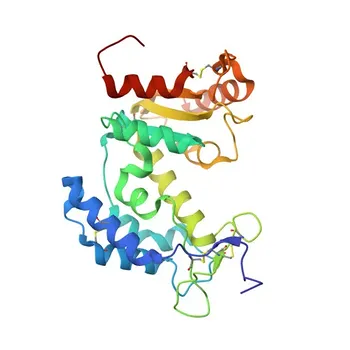 Anticorpo Monoclonal Anti-CD38 para Citometria de Fluxo - P28907