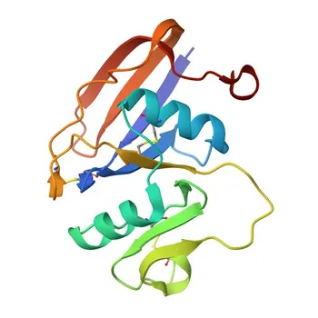 PolymAb® Coelho Anti-CD44 - P15379