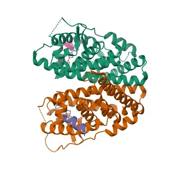 Anticorpo Policlonado de Coelho Anti-Fosfo-ESRα-S118 para WB, IF/ICC, ELISA - P03372
